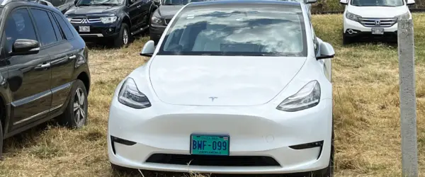 Consórcio de Carro Elétrico Vale a Pena? Prós e Contras